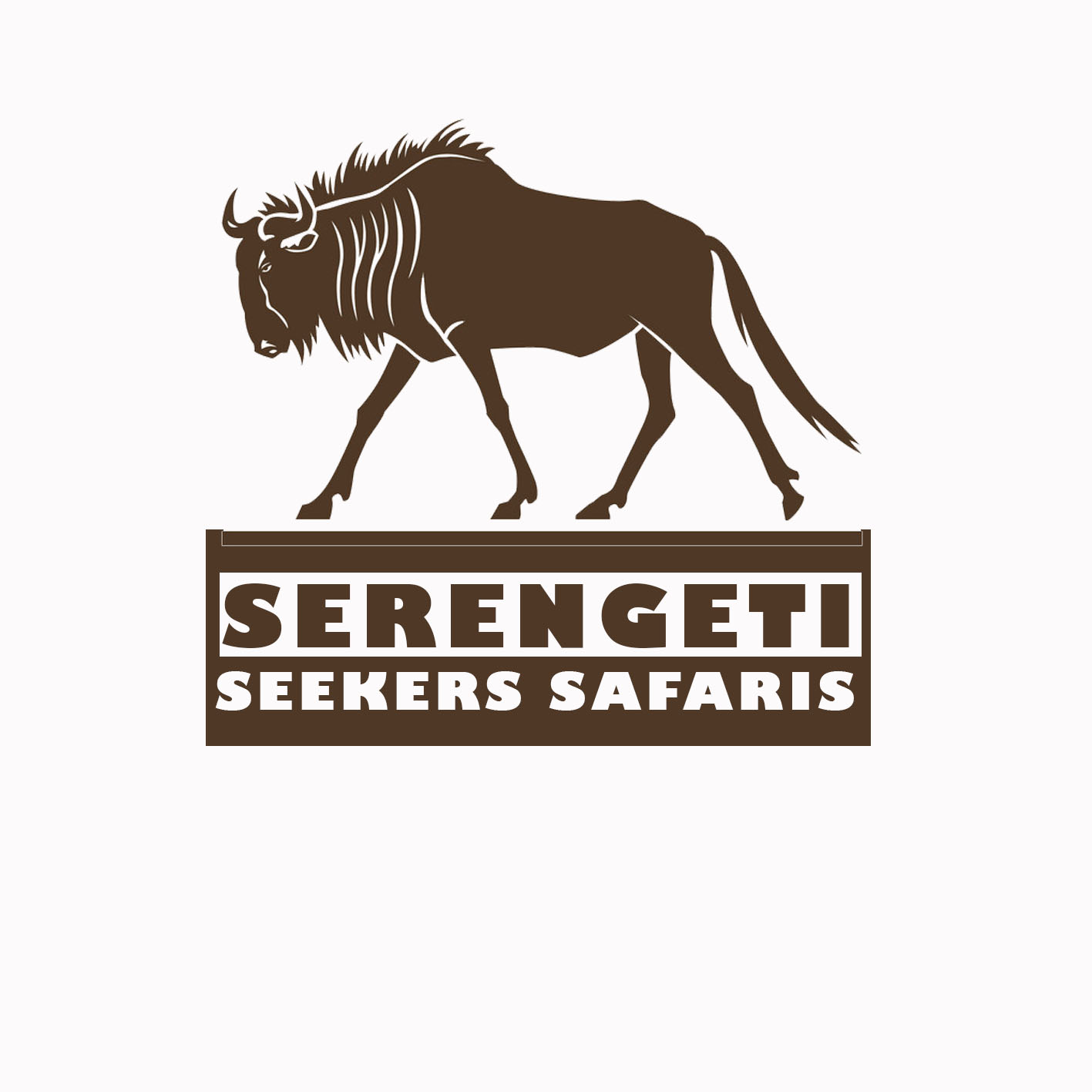 logo-MIGRATION SEEKERS SAFARIS